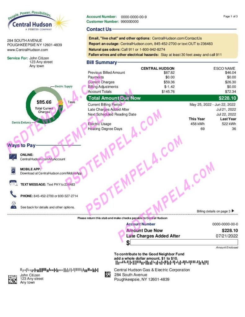 USA New York Central Hudson A fortis utility bill 3 pages