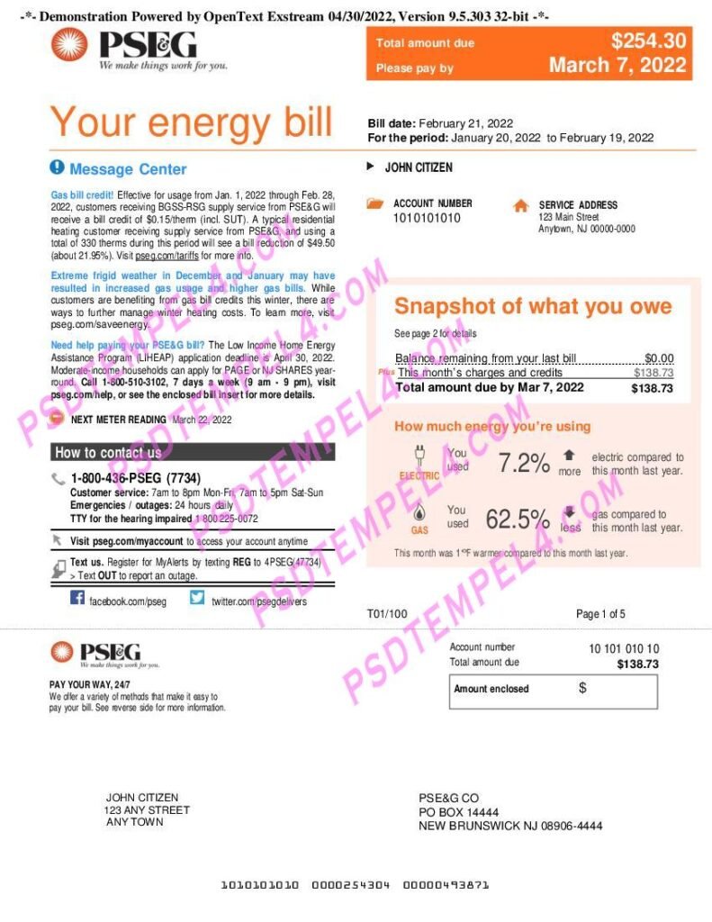 USA New York PSEG utility bill 5Pages