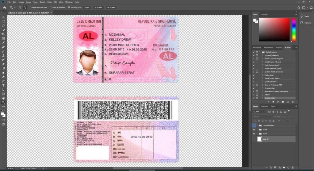 Albania Driver License 2 version