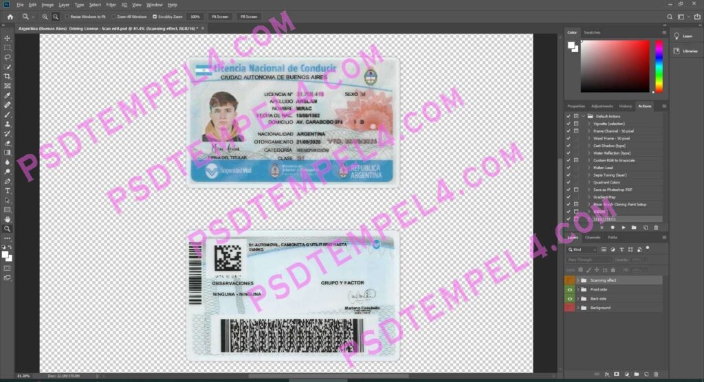 Argentina Driver License 2 version