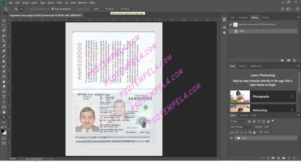 Argentina passport V4