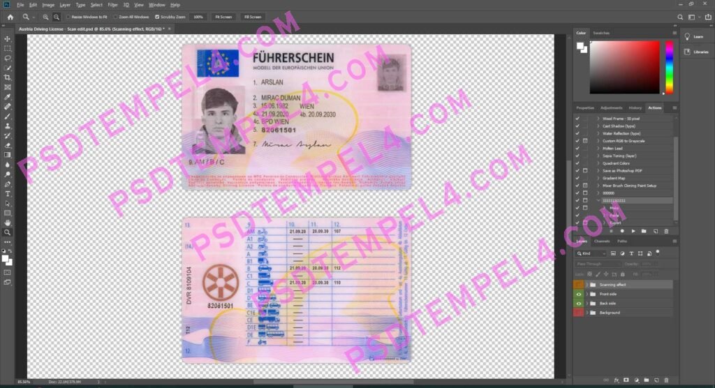 Austria Driver License 2 version