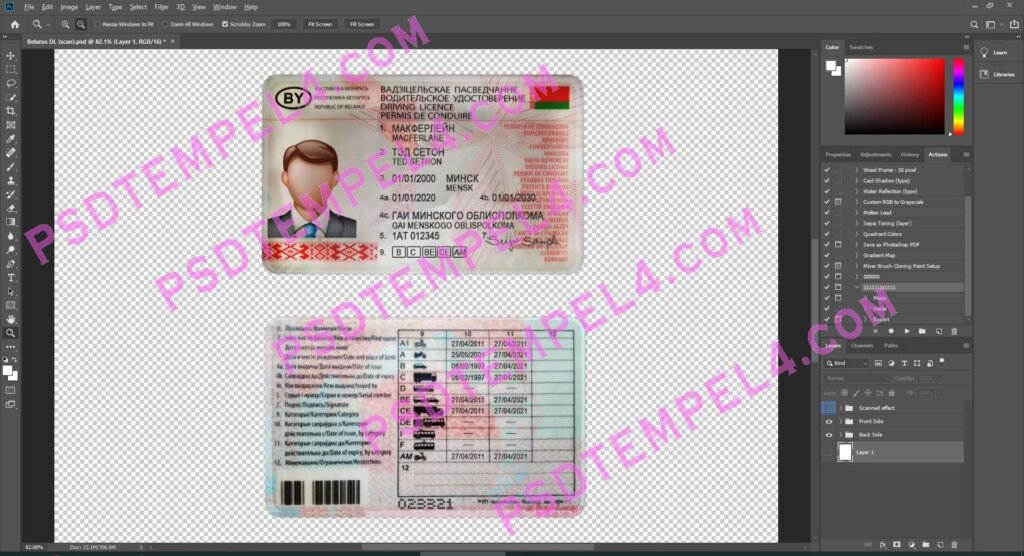 Belarus Driver License 2 version