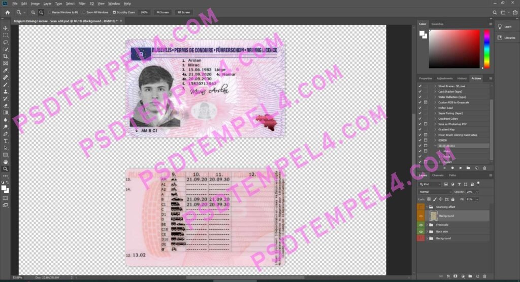 Belgium Driver License 2 version