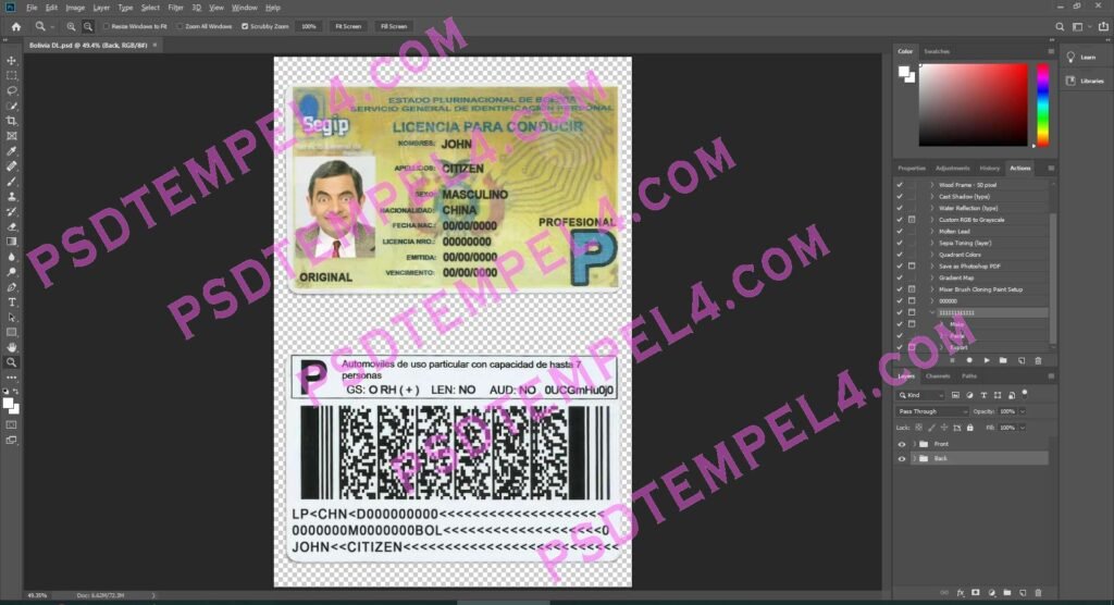 Bolivia Driver License 2 version