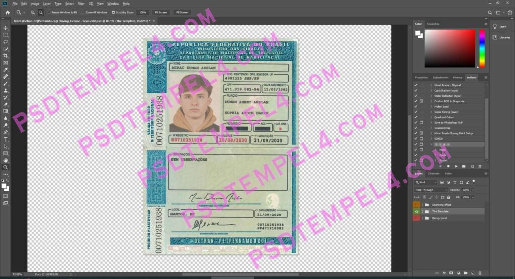 Brazil Driver License 3 version