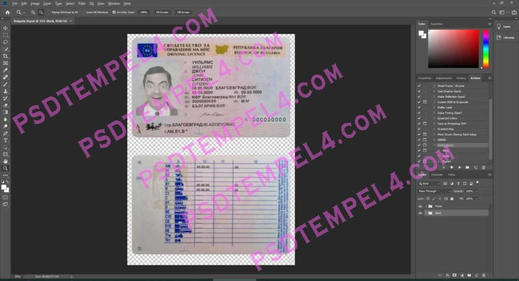 Bulgaria Driver License 2 version