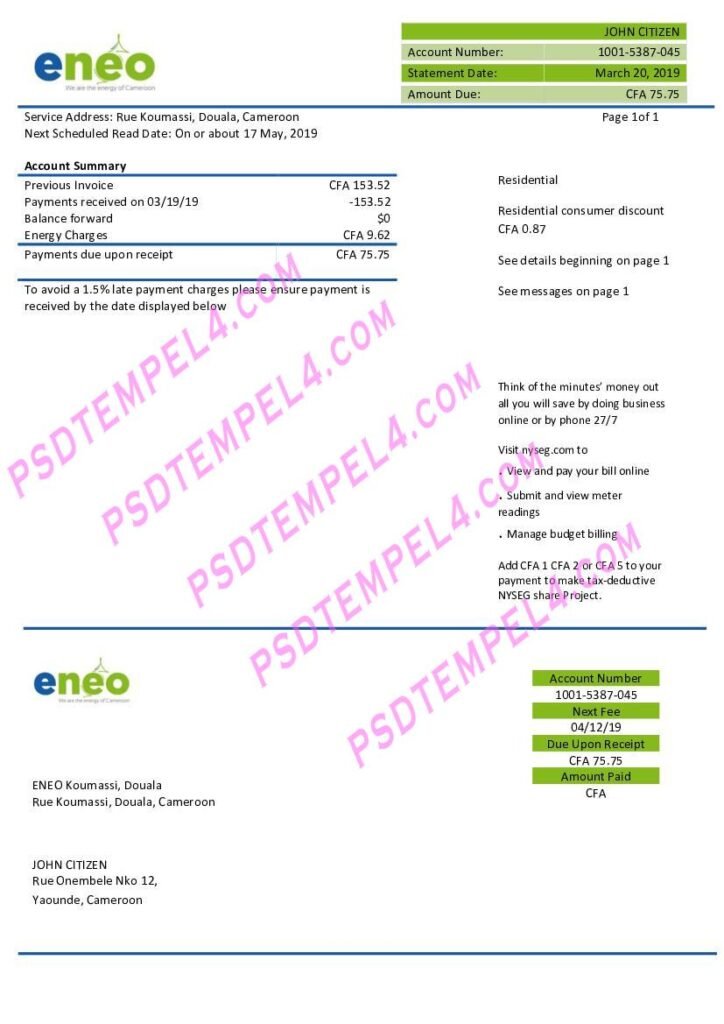 Cameroon ENEO electricity utility bill