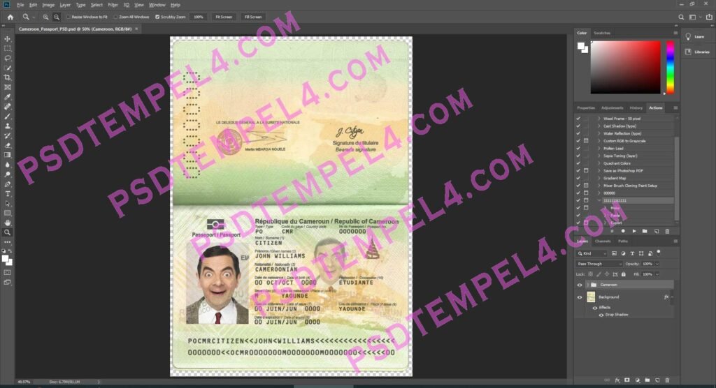 Cameroon Passport