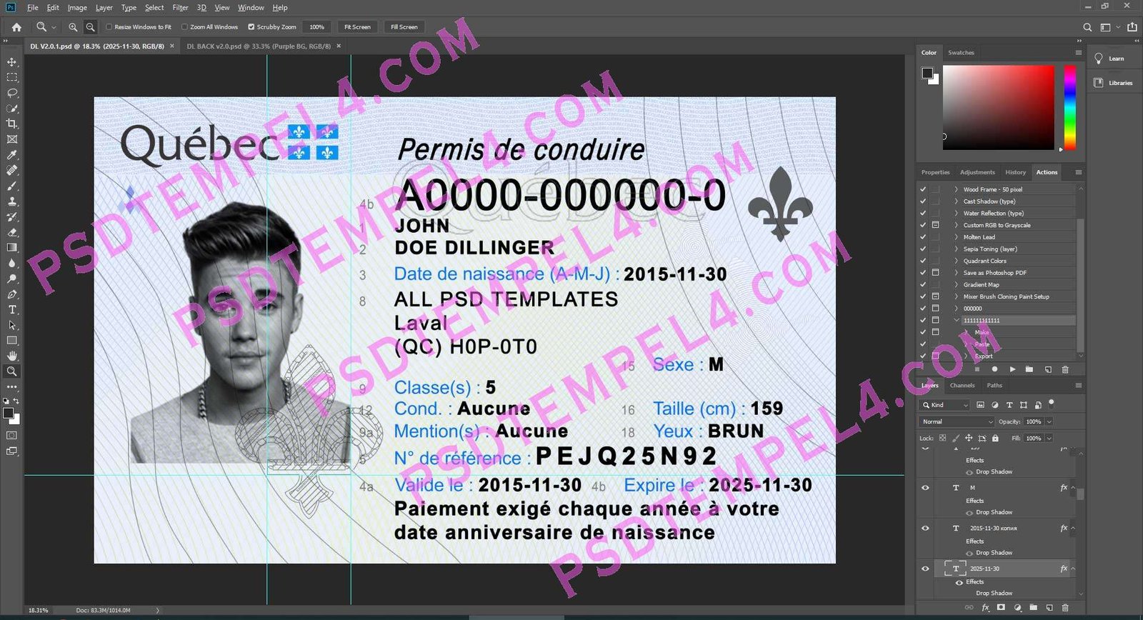 Canada quebec Driver License 3 version - Image 2