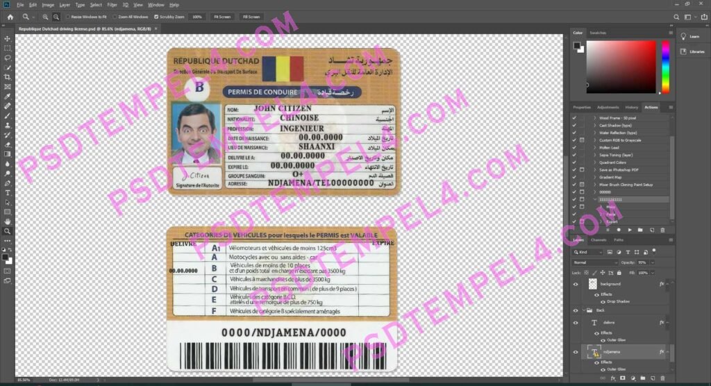 Chad Driver License