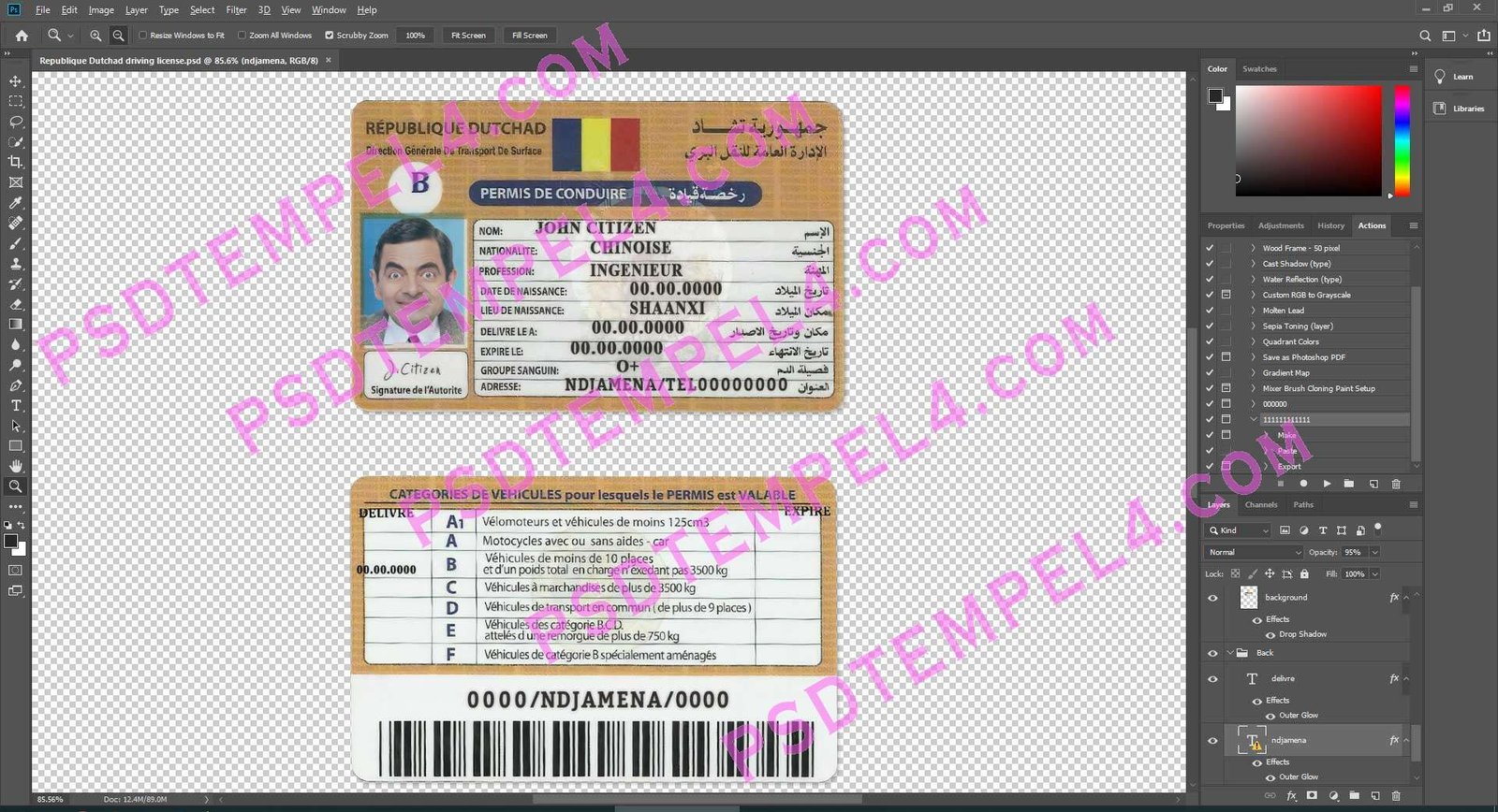 Chad Driver License