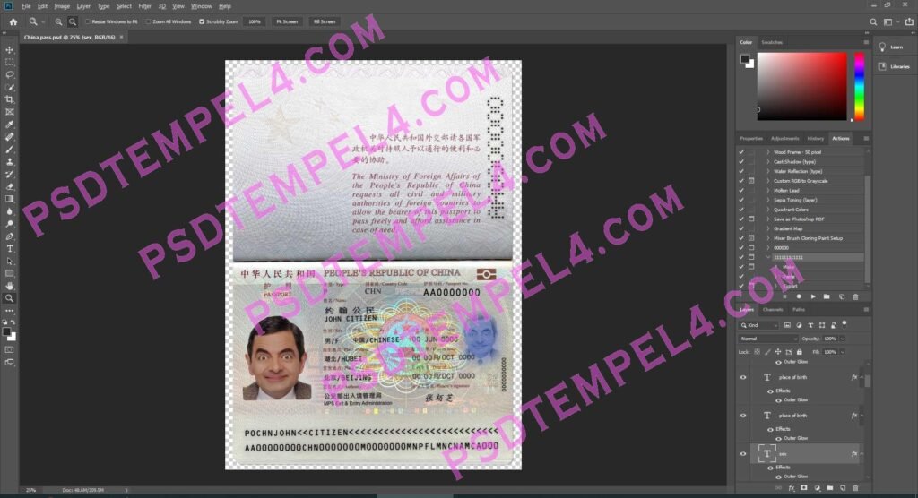 China Passport - 4 version