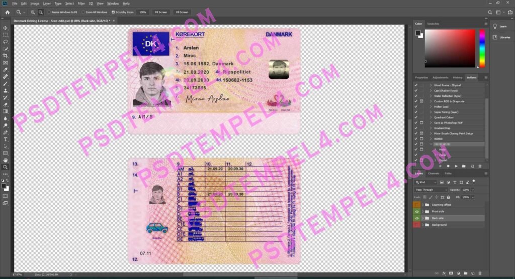 Denmark Driver License 4 version