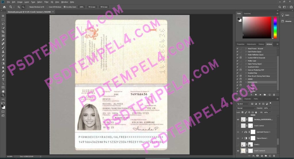 Denmark Passport - 2 version