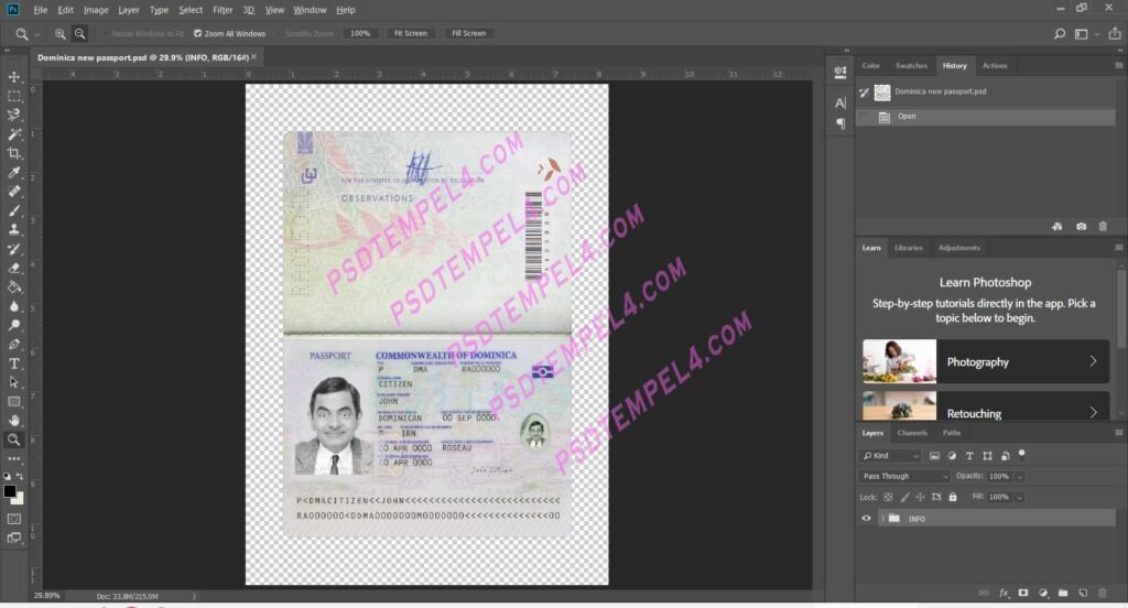 Dominican Passport V4
