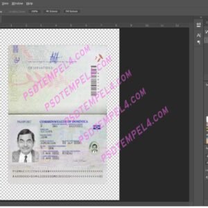 Dominican Passport V4