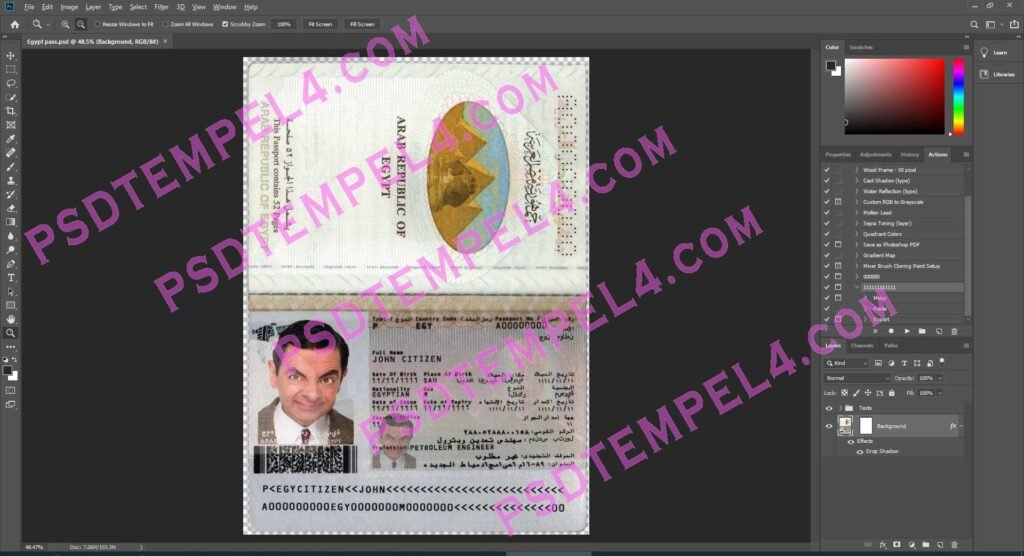 Egypt Passport - 2 version