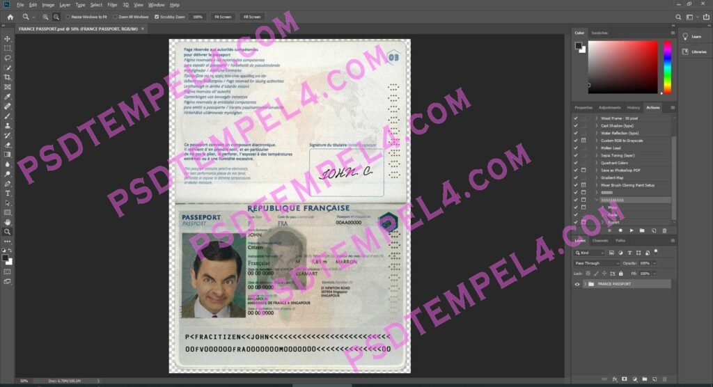 France Passport - 3 version