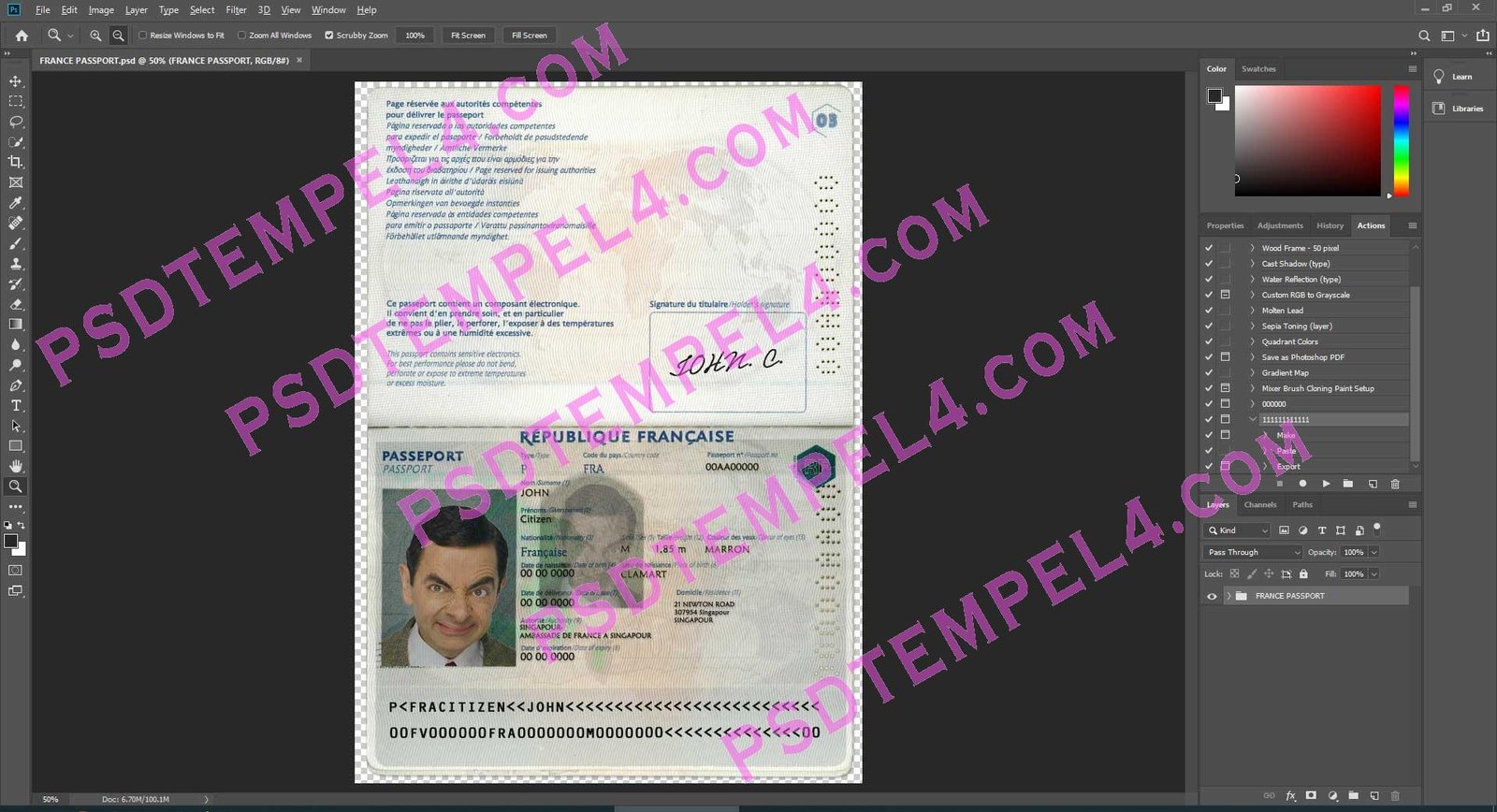 France Passport - 3 version