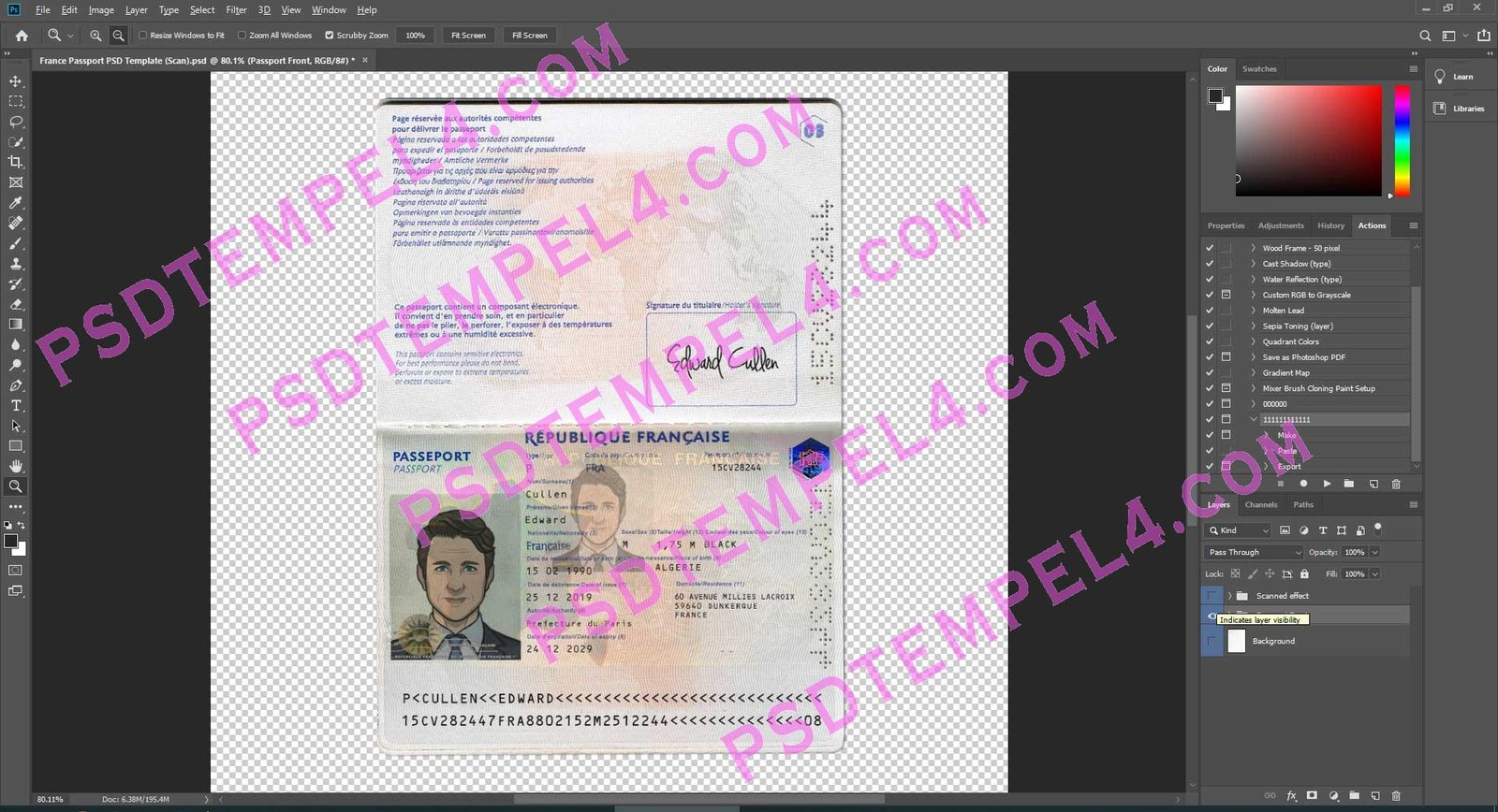 France Passport - 3 version - Image 3
