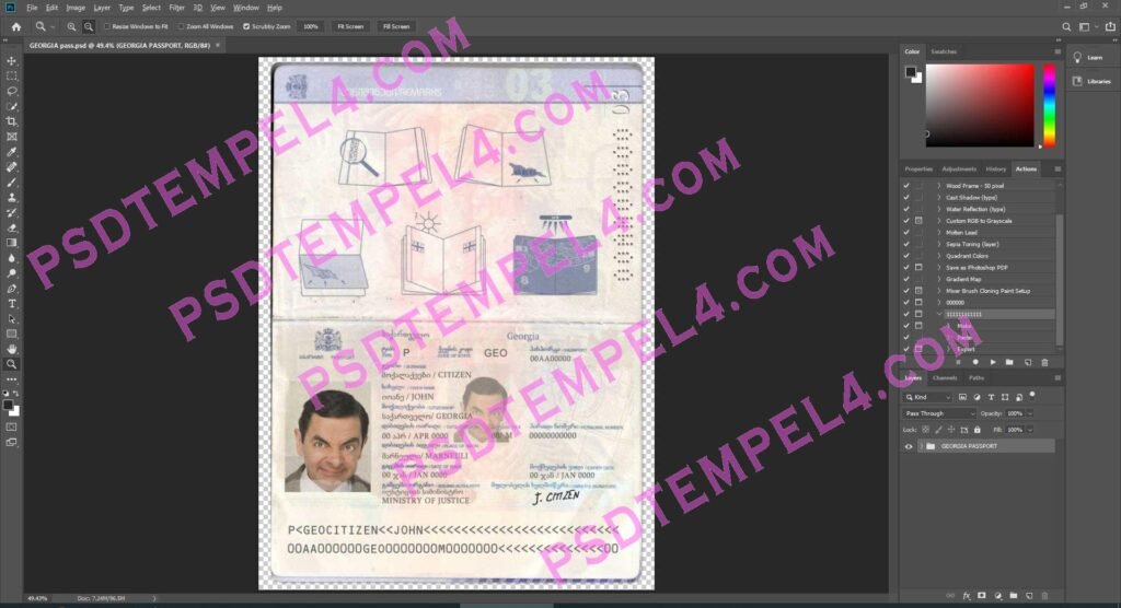Georgia Passport - 2 version