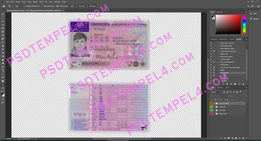 Germany Driver License 2 version