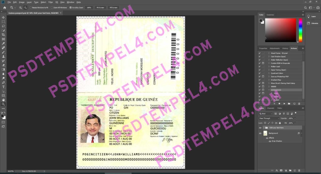 Guinea Passport