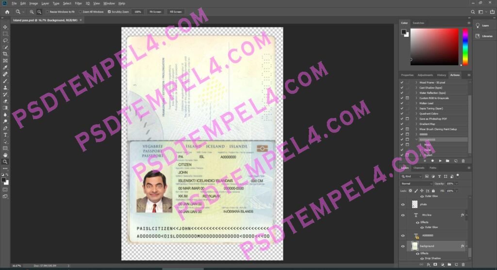 Iceland Passport