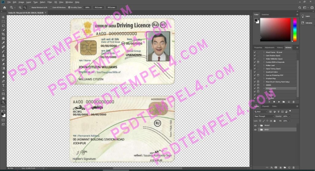 India Driver License 2 version