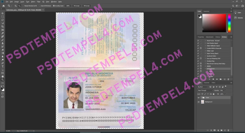 Indonesia Passport - 2 version
