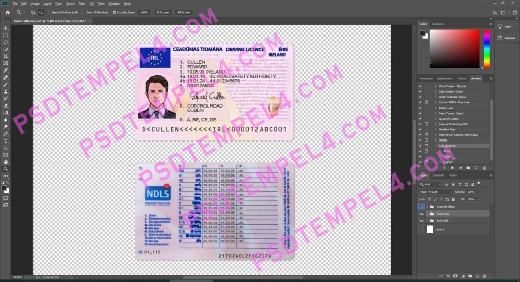 Ireland Driver License 3 version