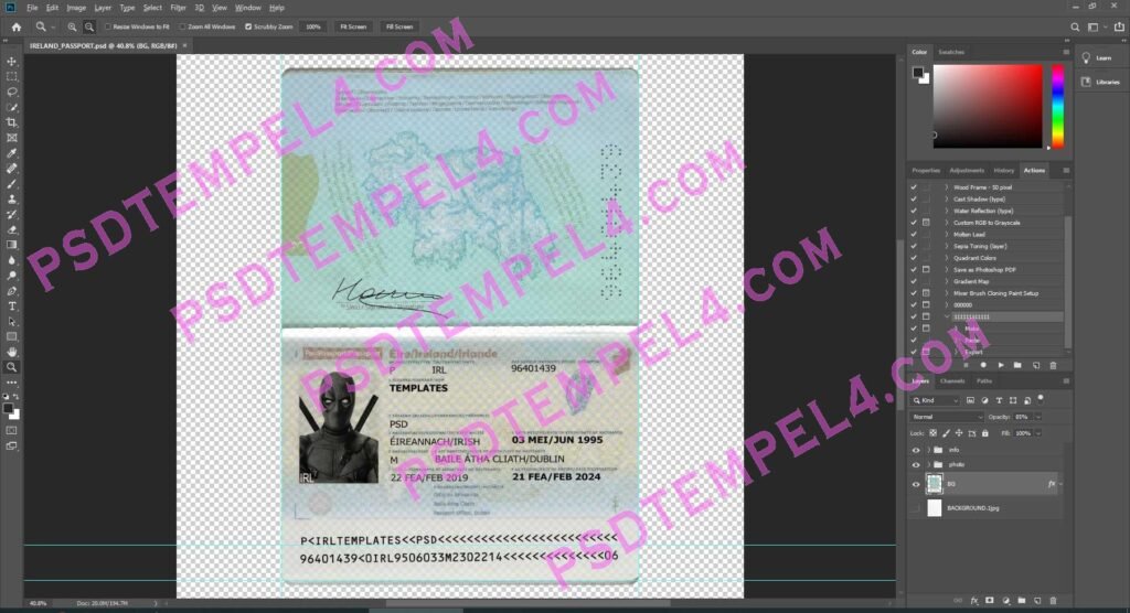 Ireland Passport - 2 version