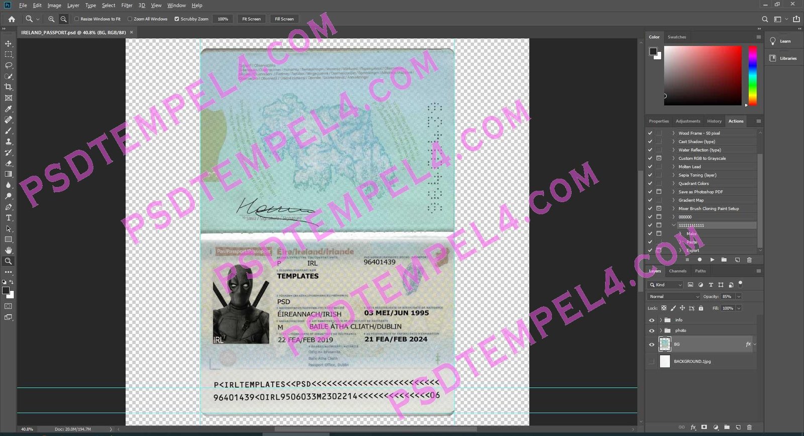 Ireland Passport - 2 version