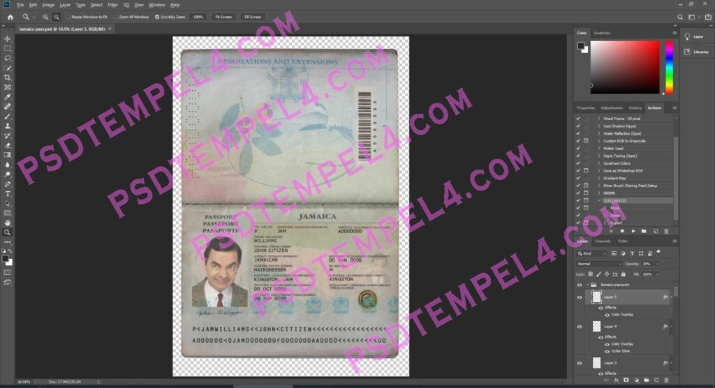 Jamaica Passport