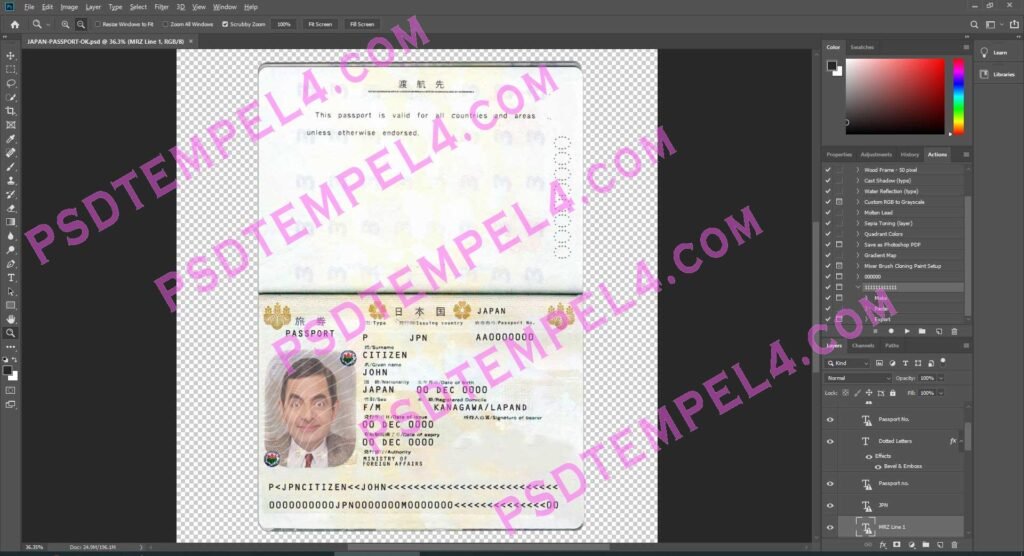 Japan Passport - 2 version