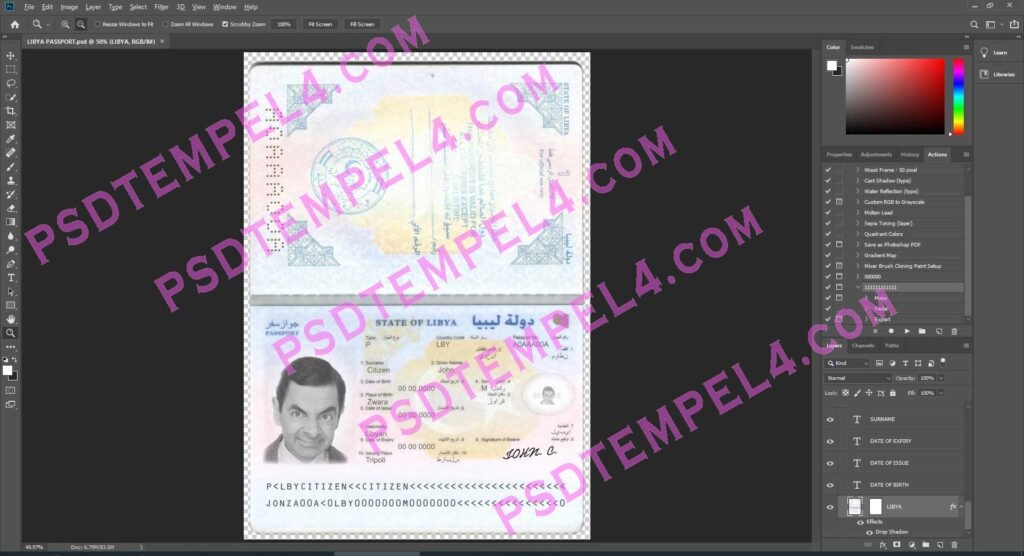 Libya Passport