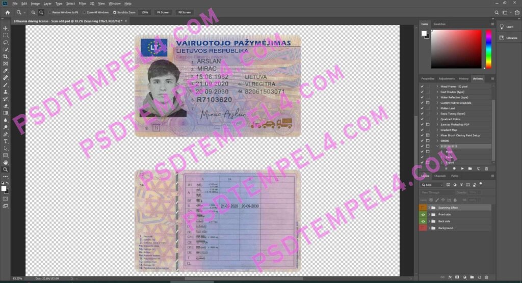 Lithuania Driver License 3 version