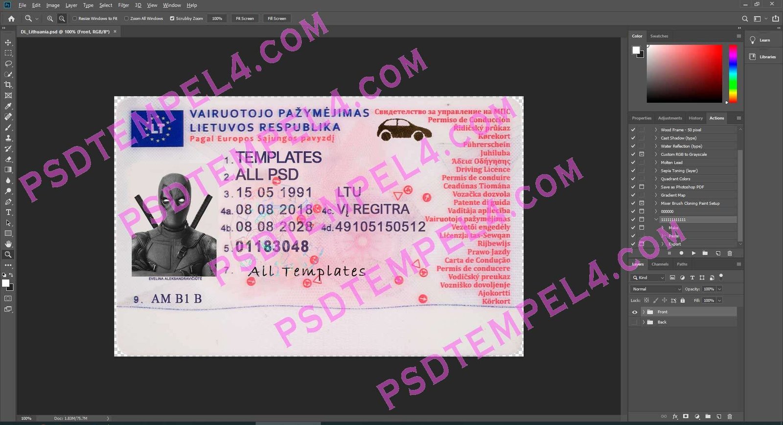 Lithuania Driver License 3 version - Image 3