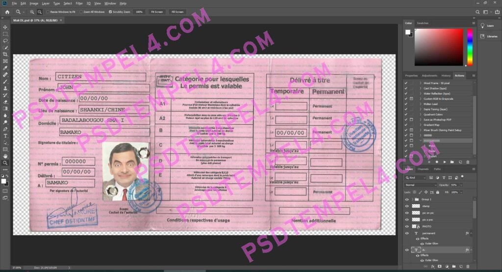 Mali Driver License