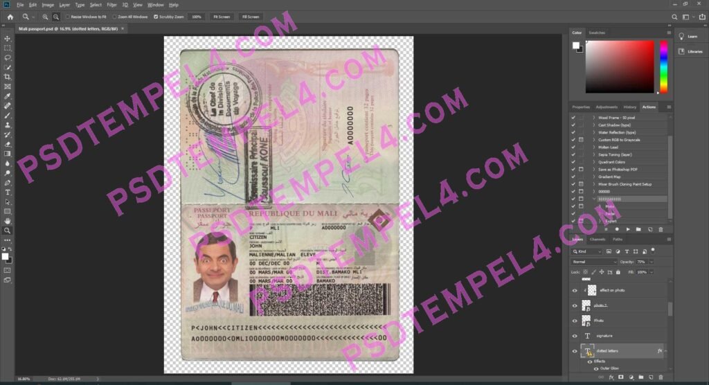 Mali Passport