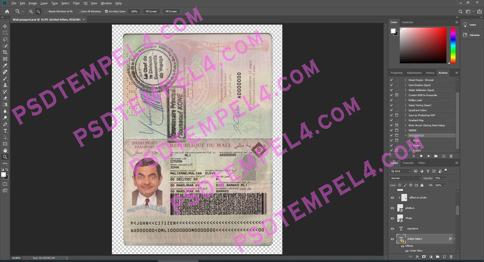 Mali Passport