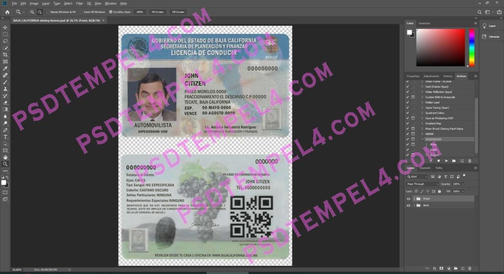 Mexico Driver License