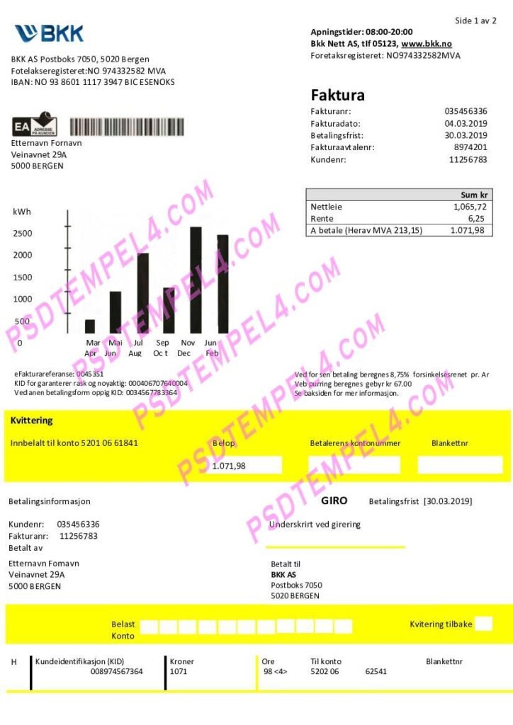 Norway BKK electricity utility bill