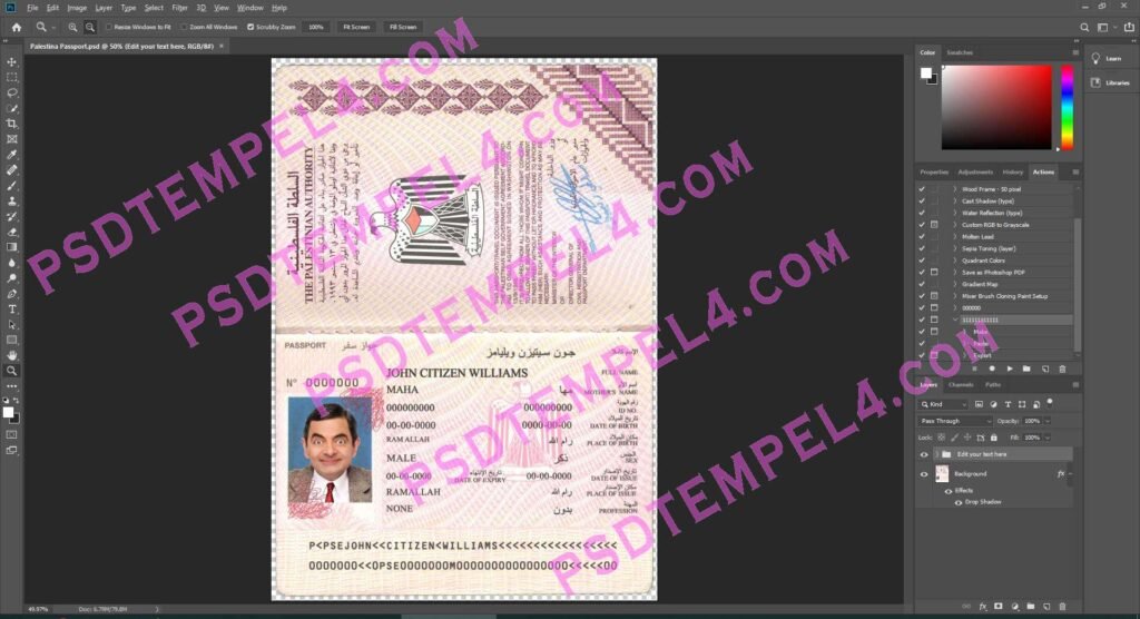 Palestine Passport