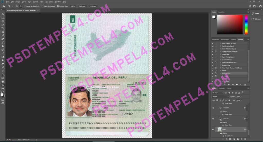Peru Passport 2 version