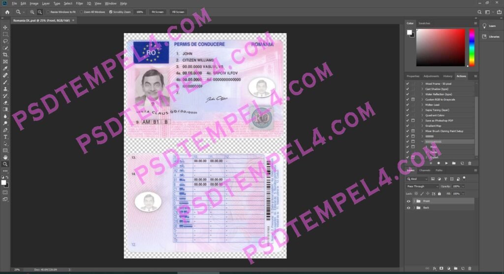 Romania Driver License 3 versoin
