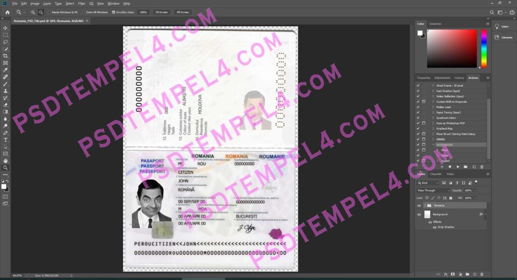 Romania Passport 3 version