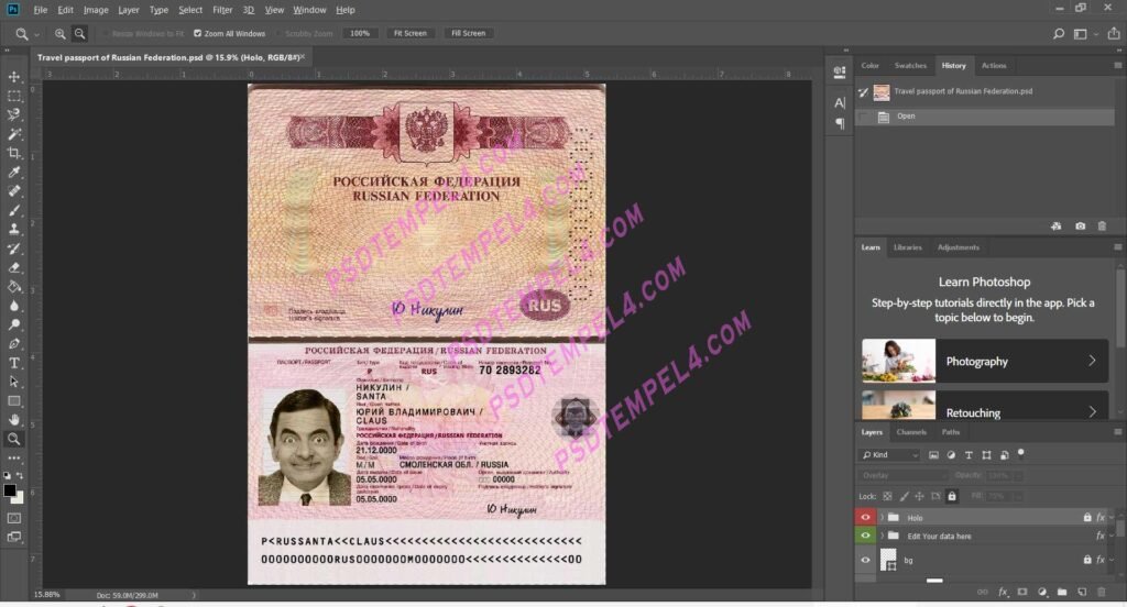 Russia passport Travel V5