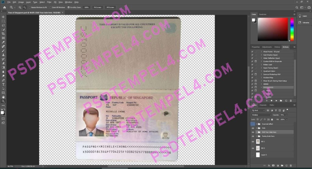 Singapore Passport 3 version
